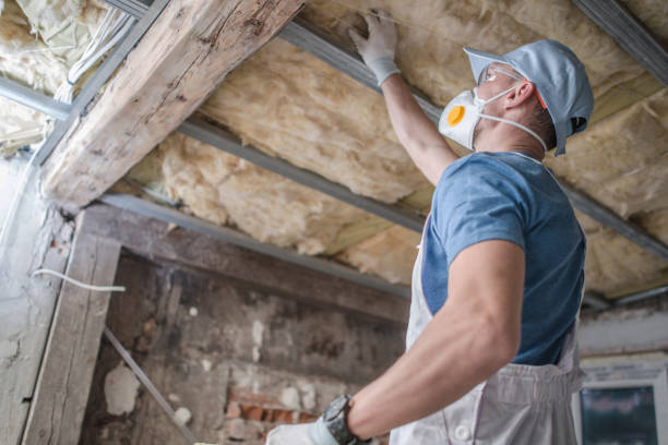 Best Insulation for Specific Applications in Adamsville, TN