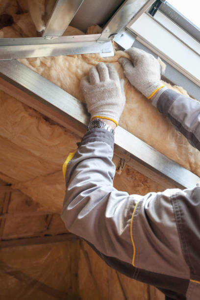 Best Cellulose Insulation in Adamsville, TN