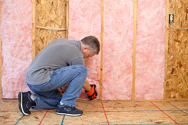Best Geographic-Specific Insulation Services in Adamsville, TN