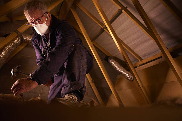 Types of Insulation We Offer in Adamsville, TN